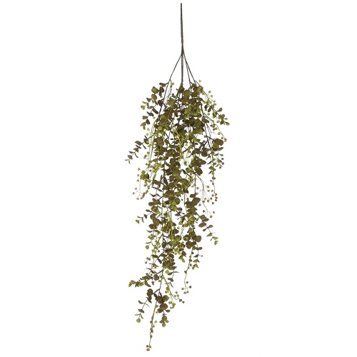 Eucalyptus  - Artificial floral - Eucalyptus Vine artificial for rent